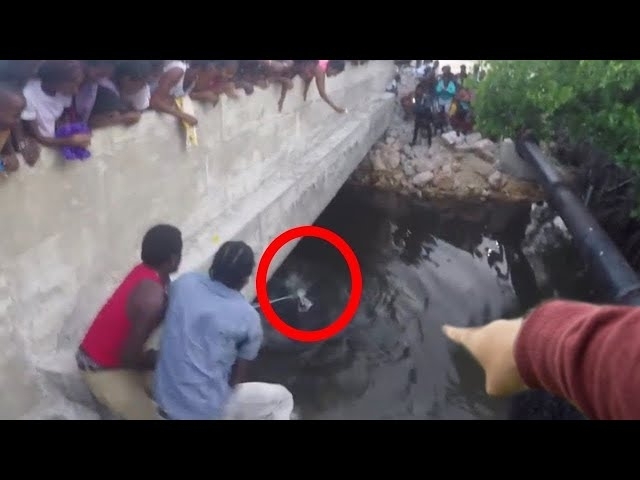 What They Captured In A River Shocked The Whole World