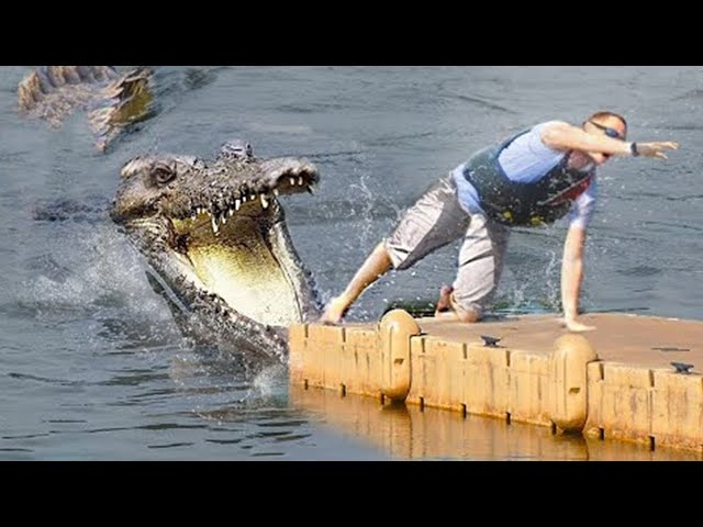 If You’re Scared of Crocodiles, Don’t Watch This