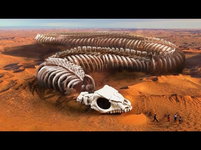 20 Crazy Creatures That Really Existed
