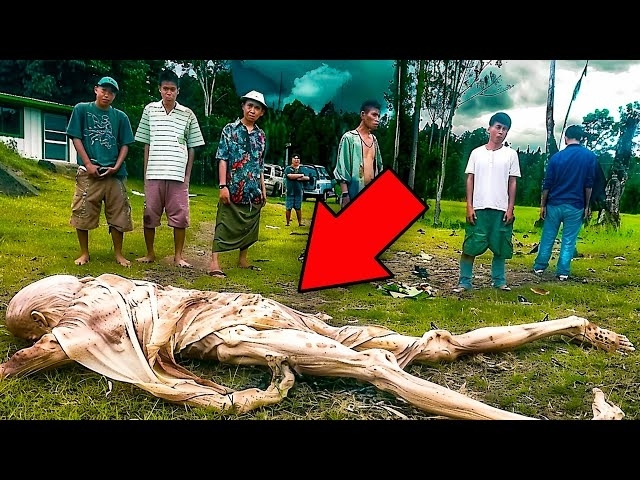 20 SCARIEST Things That FELL From The Sky