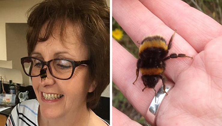 Woman Rescues Wingless Queen Bee And Their Friendship Will Make Your Day