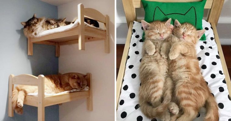 People Are Buying IKEA’s Doll Beds For Their Cats, And Our Feline Friends Couldn’t Be Happier