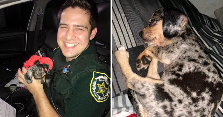 Police Officer Rescues Puppy Abandoned In Flooded Car During Hurricane And Becomes Her Dad For Li...