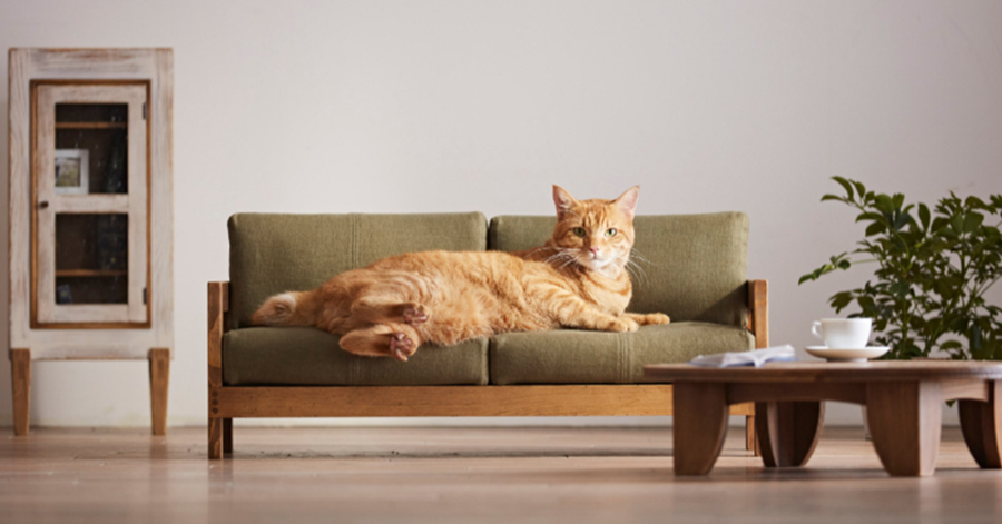 Japanese Artisans Launch Line Of Miniature Furniture For Cats(video)