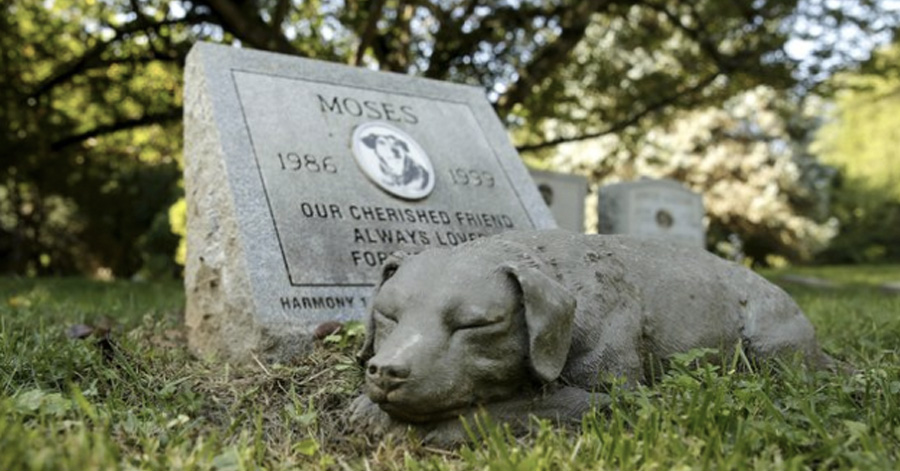 New NY Law Allows People To Be Buried Besides Their Pets At Cemeteries