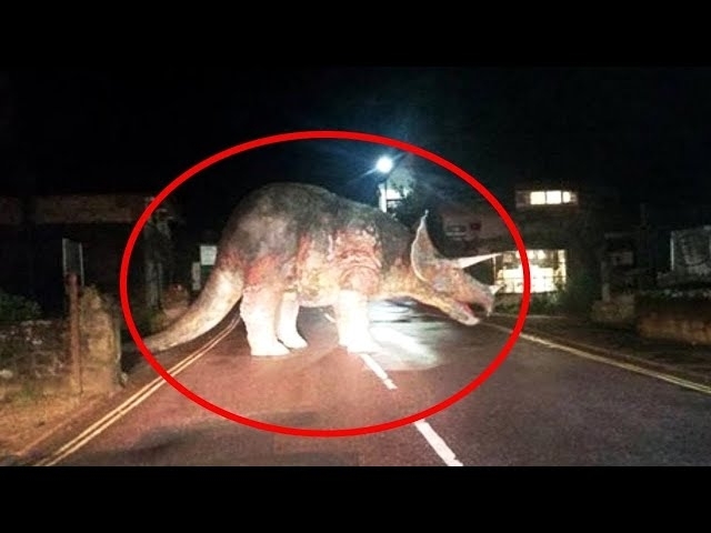 10 Dinosaurs Caught on Camera in Real Life