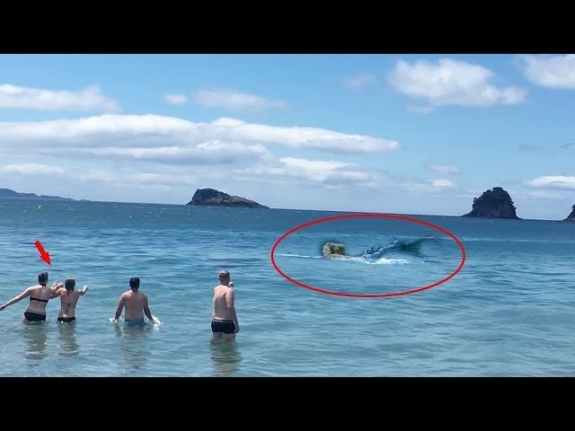 They find Mermaid In Ocean..Then This Happens...