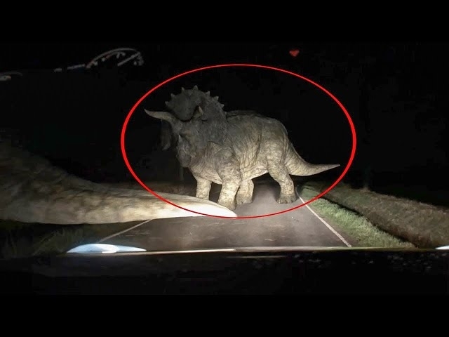 15 Dinosaurs Caught on Camera in Real Life