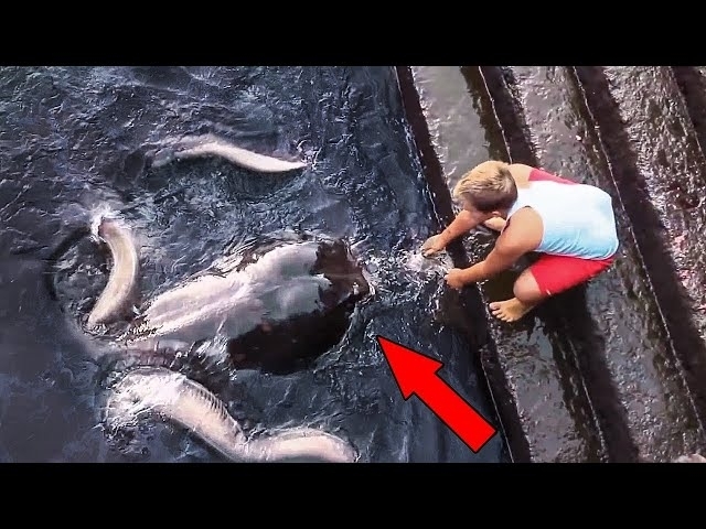 This Boy Caught A Massive Creature Crawling Out Of The River, What Happened Next Is Terrifying