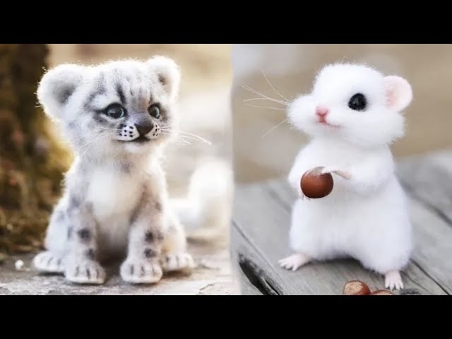 AWW SO CUTE! Cutest baby animals Videos Compilation Cute moment of the Animals - Cutest Animals #...