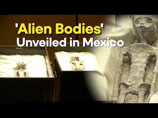 MEXICO UAP HEARING: Remains of 'non-human' beings showcased at UFO hearing | WION Originals