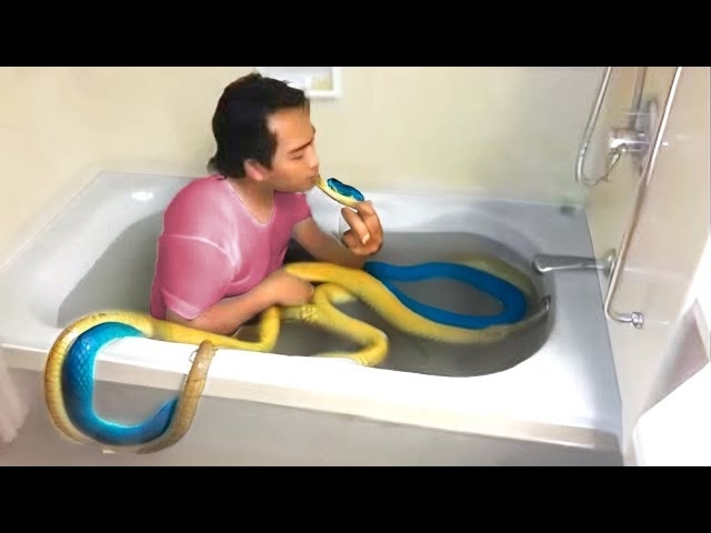 Man Bathes With Snake Every Night, Until Doctor Shows Him What's Inside