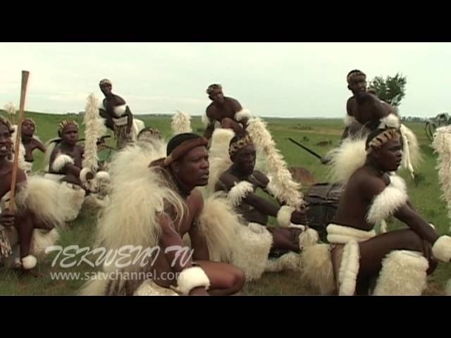 Rhythms of Tradition: Zulu Tribal Dance in South Africa ????????