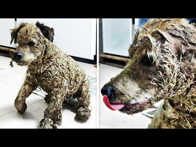 Covered In Glue and Left For Dead, This Saved His Life