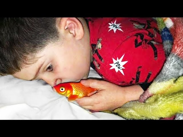 Boy Scared Of Dark Sleeps With Pet Goldfish, But Wakes Up To Horrifying Surprise