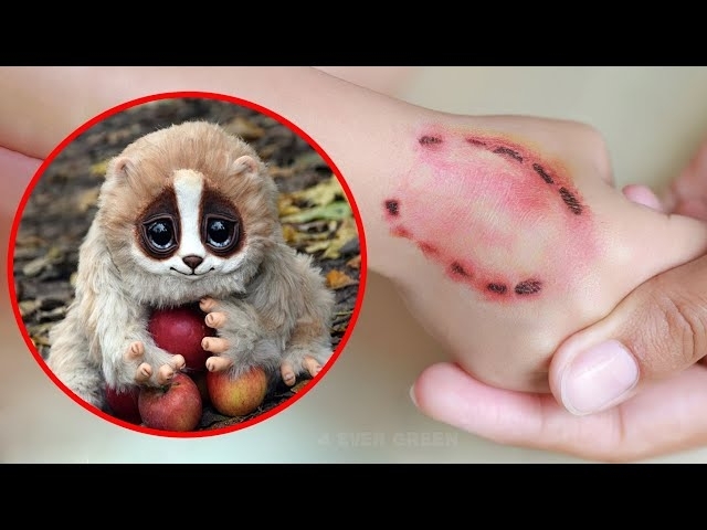 10 Cute Animals That Are Actually Deadly