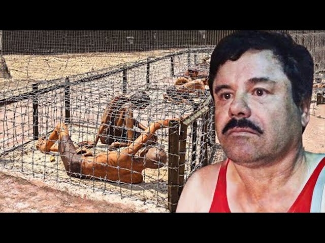 Inside El Chapo's Disturbing Life In Prison