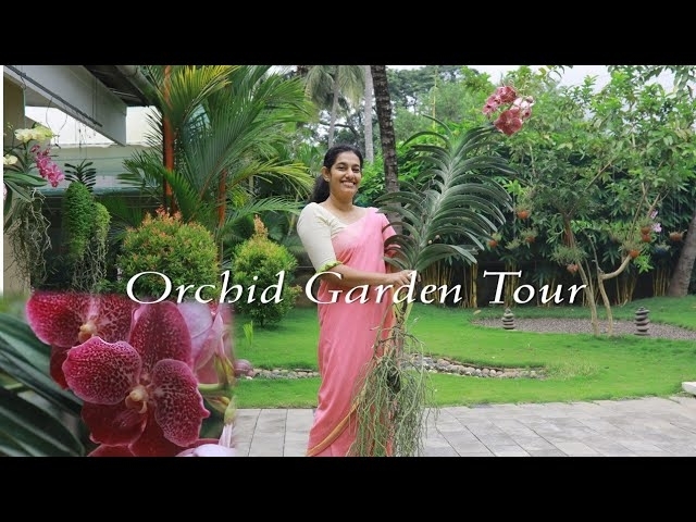 Orchids : Part 1 Orchid garden tour