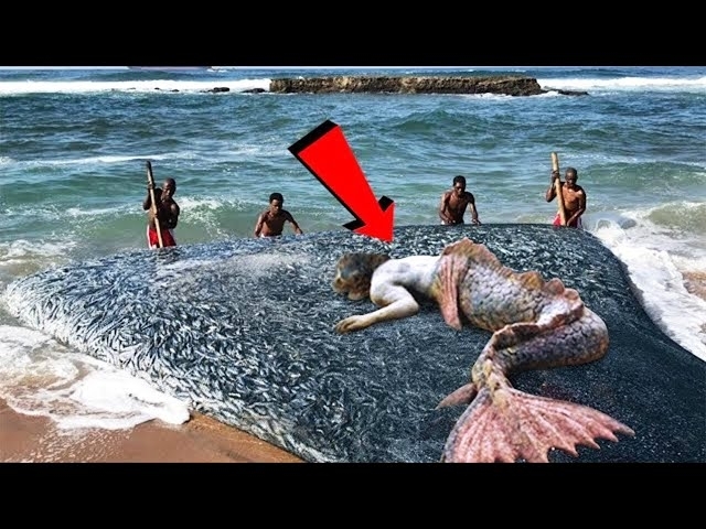 They find Mermaid On Beach.. The Ending Will Shock You...
