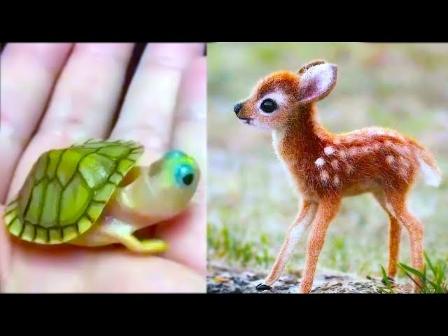 20 Cutest Baby Animals You Need To Pet