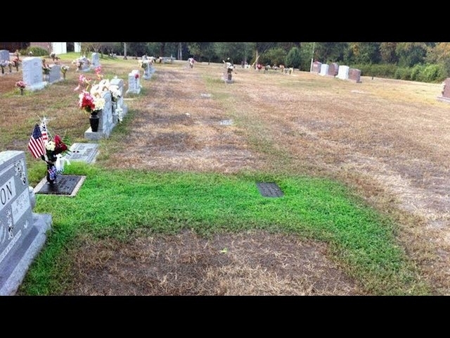 Mother Didn't Understand Why Her Son's Grave Was Green. She Cried When She Knew The Truth
