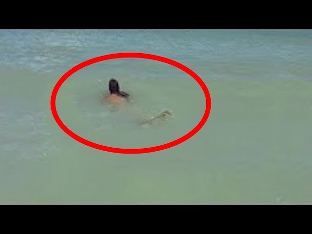 5 Times People Accidentally Spotted Mermaids on Tape!