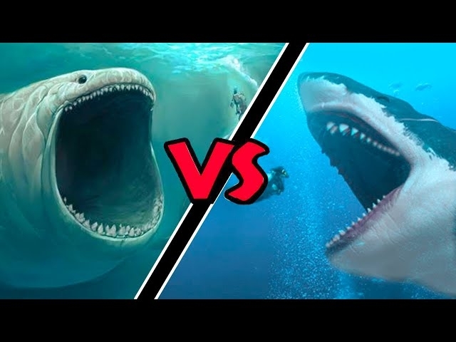 Megalodon VS Bloop – (Who Would Win?)