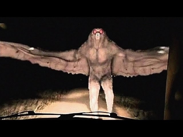 20 Mysterious Creatures Caught On Camera