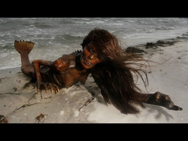 Fishermen Capture Real Life Mermaid That Changes Everything!