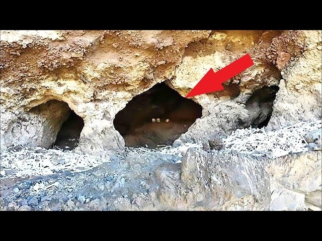 What They Discovered Inside a Cave Shocked the Whole World!
